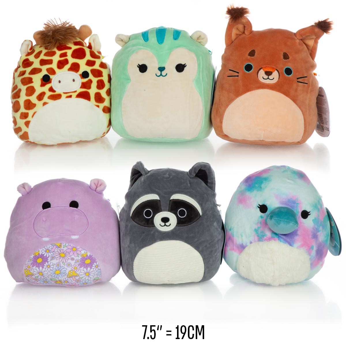 סקווישמלו סדרת מיטש' "7.5