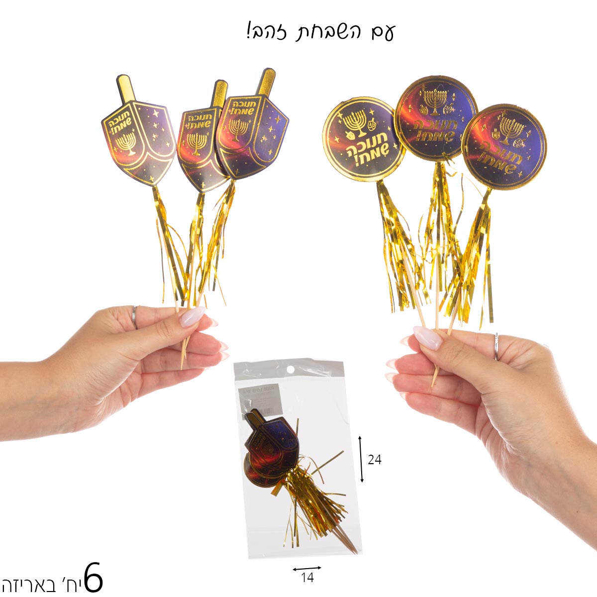 1/6 שיפוד ארוך חנוכה שמח